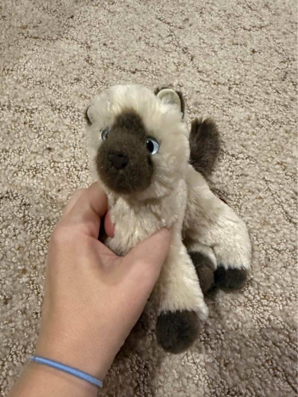 Douglas Siamese Cat Plush